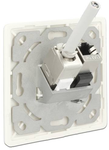 Netwerkaansluitdoos met een ingestoken RJ45-stekker, gemonteerd op een zilveren dragerplaat.