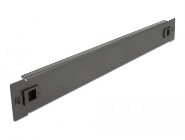 Delock 66577 19 inch  Afdekking voor patchkast  1 HE    Zwart