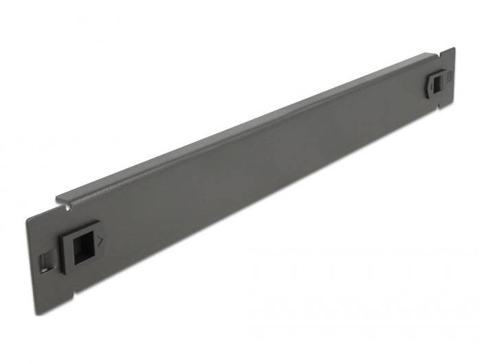 Delock 66577 19 inch Afdekking voor patchkast 1 HE Zwart-1