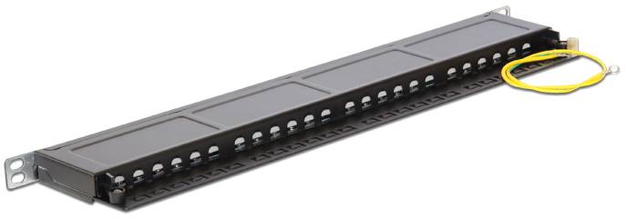 Delock 43316 Patchpaneel 483 mm (19") CAT 6 0.5 HE Zwart Ingericht-2