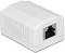 Een witte Ethernet LAN-stekkeradapter met een RJ45-aansluiting.