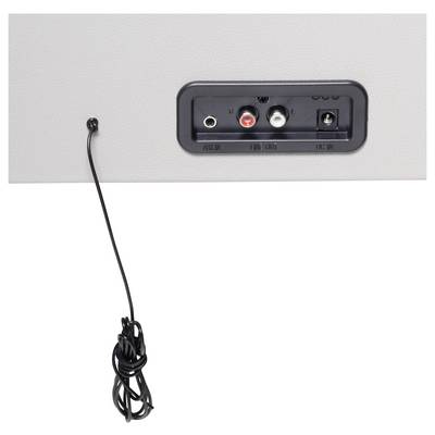 Achterkant van een elektronisch apparaat met drie aansluitingen: twee tulpstekkers in rood en wit, een netaansluiting. Een zwarte kabel hangt naar beneden.