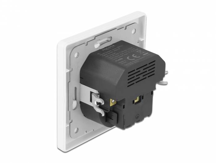Delock 11489 Stopcontact (inbouw) Met USB, Met USB-C Wit-2