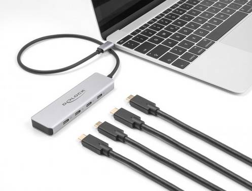Delock 64231 64231 USB-hub 4 poorten USB-C USB 3.2 Gen2 10 GBit/s Met USB-C stekker Grijs
