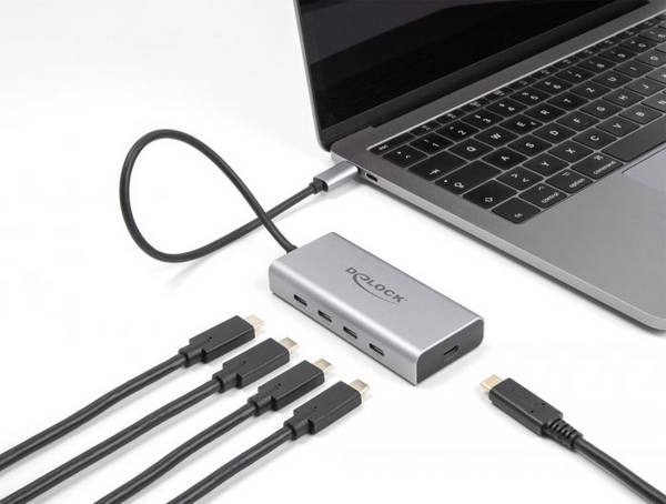 Delock 64235 64235 USB-hub 4 poorten USB-C USB 3.2 Gen2 10 GBit/s Met USB-C stekker Grijs