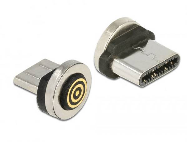 Delock 65933 65933 Magnetische adapter USB type-C™-stekker 1 stuk(s)