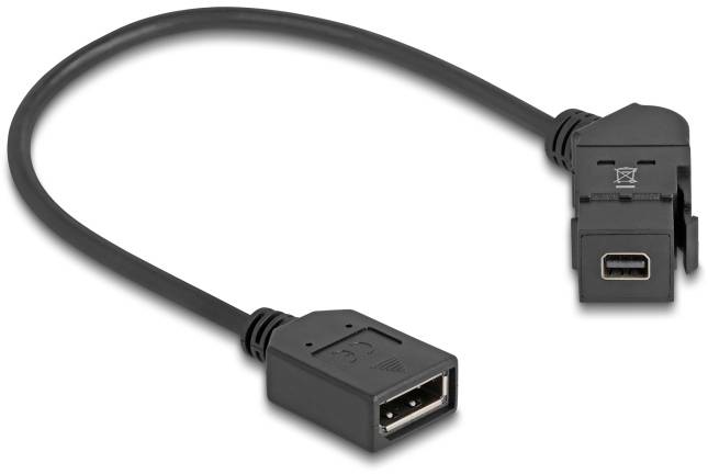 Delock 67155 Displayport-inbouwmodule Keystone Kabel 1 stuk(s)-2
