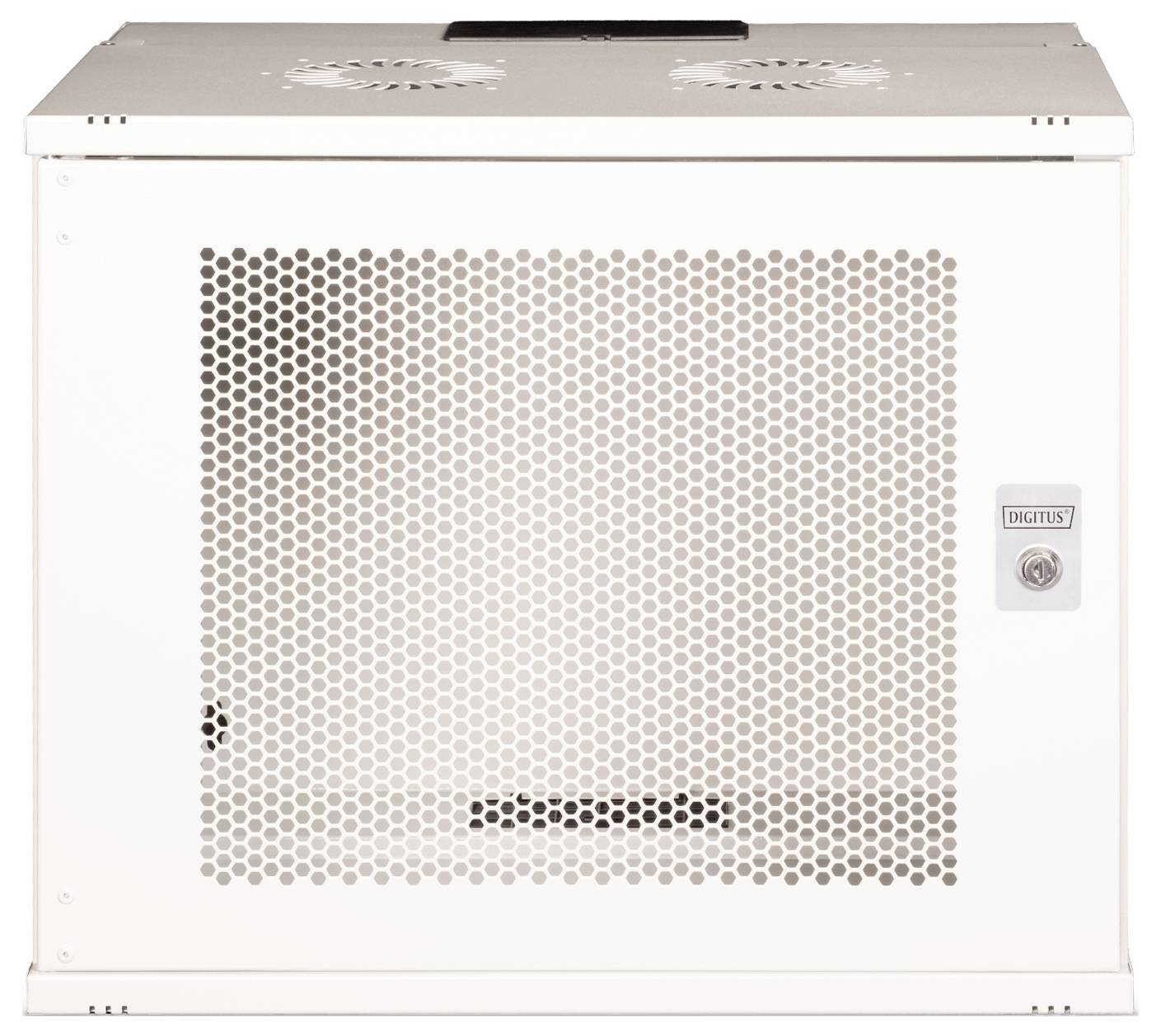 'Digitus Wandmontage Kast' met een geperforeerde metalen voorpaneel en slot, ontworpen voor de opslag van IT-apparatuur.