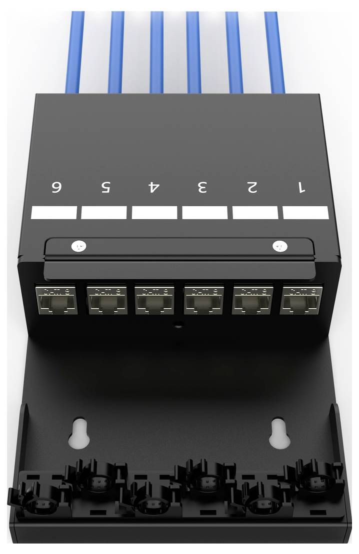 Digitus DN-93708-6 RJ45-moduledrager Keystone Zonder connectoren 1 stuk(s)-3