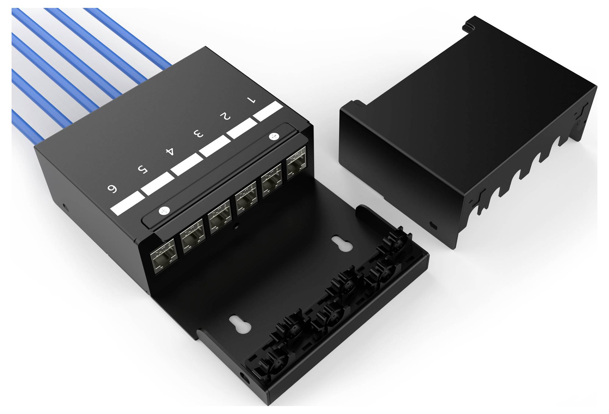 Digitus DN-93708-6 RJ45-moduledrager Keystone Zonder connectoren 1 stuk(s)-4