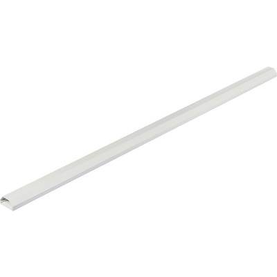 Een witte, langwerpige kabelgoot met afgeronde hoeken voor nette kabelgeleiding in woon- of kantoorruimtes.
