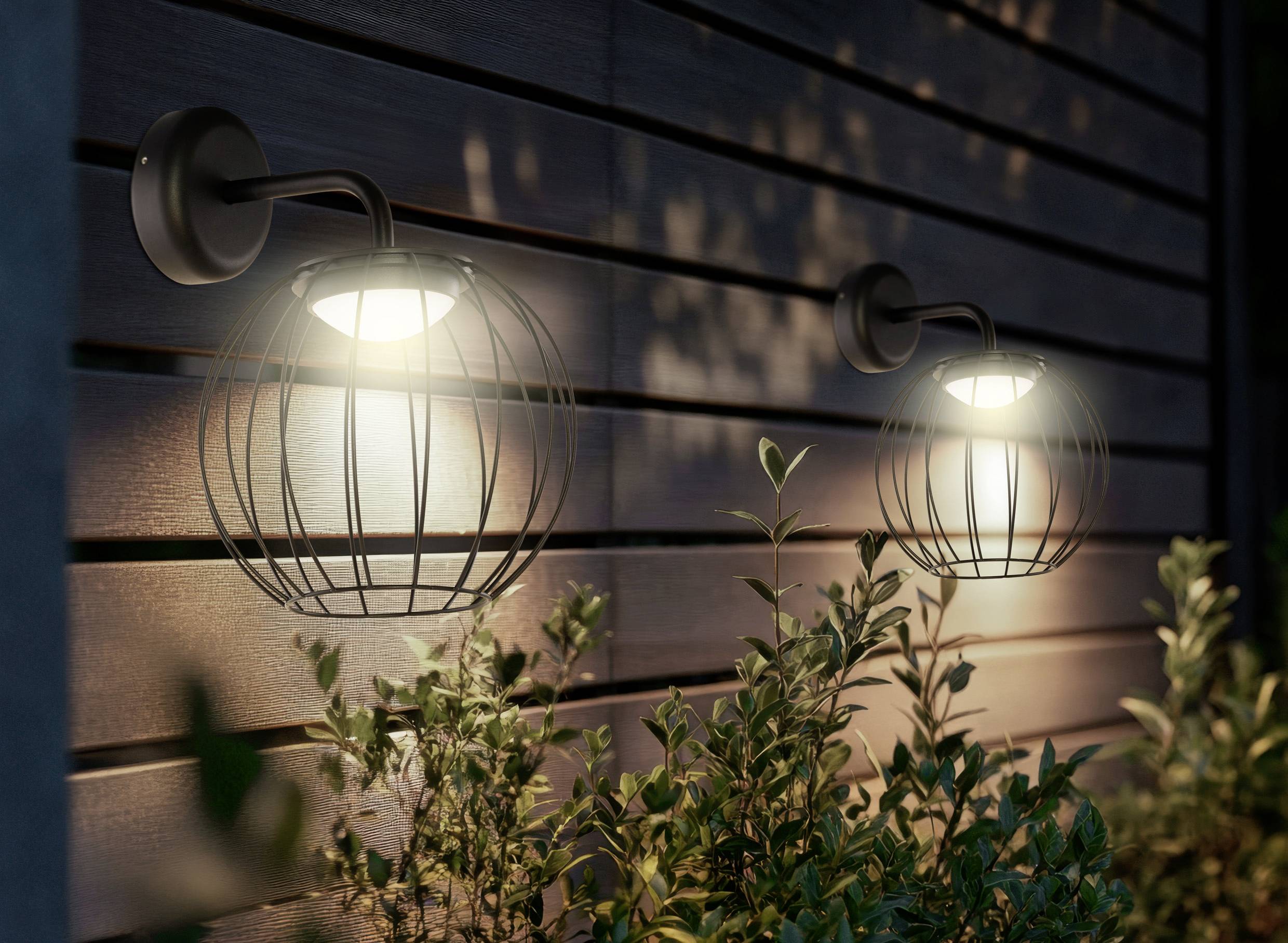 Buitenmuurlampen met draadkooi verlichten een houten schutting, waarbij zachte schaduwen worden geworpen nabij kleine bladrijke planten.