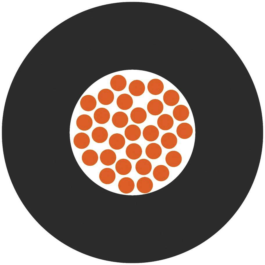 Een wit oppervlak met 30 gelijkmatig verdeelde oranje punten, omgeven door een brede zwarte rand.