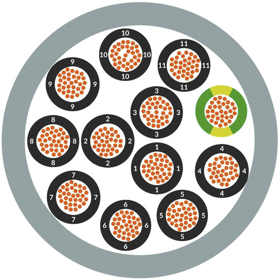 'Doorsnede van een kabel met twaalf genummerde aders, tien in zwarte omhulling en twee in zwart-gele omhulling.'