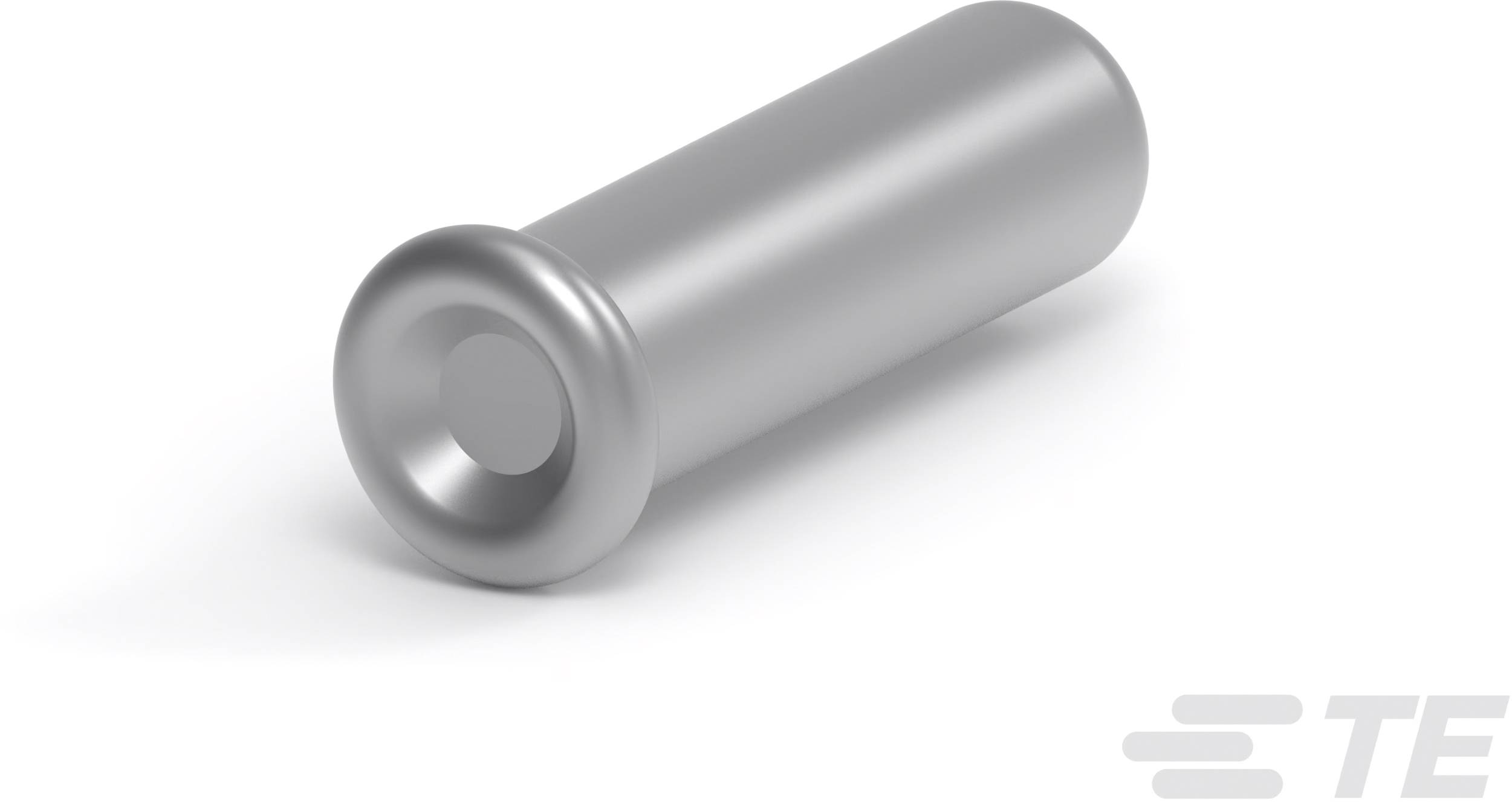 Zilveren, cilindrische metalen pin met een brede kop, liggend op een witte ondergrond. Het logo 'TE' in de rechterbenedenhoek.