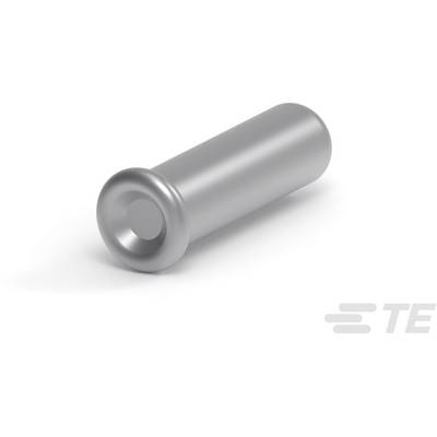 Zilveren, cilindrische metalen pin met een brede kop, liggend op een witte ondergrond. Het logo 'TE' in de rechterbenedenhoek.
