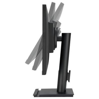 Asus VA24DQFS Business Monitor – 24 inch (23,8 inch zichtbaar), IPS, Full HD, frameloos, 100 Hz, Adaptive-Sync, 1 ms MPR-10