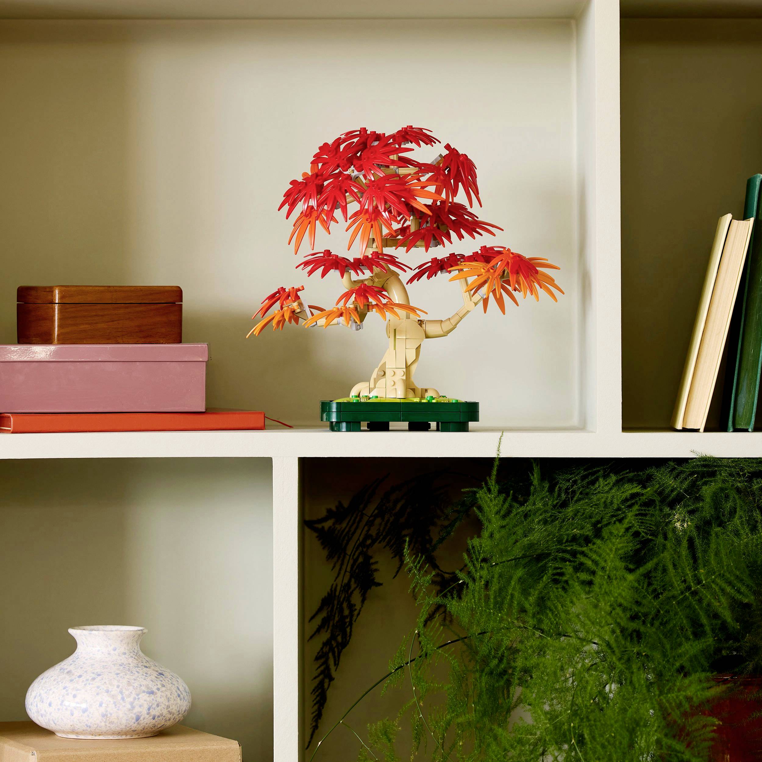 Bonsaiboom met rode bladeren op een plank, daarnaast boeken. Decoratieve dozen en planten maken de stijlvolle inrichting compleet.