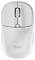 Witte draadloze computermuis met discreet 'Trust' logo en DPI-knop onder de scrollwiel. Ergonomisch ontwerp voor comfortabel gebruik.
