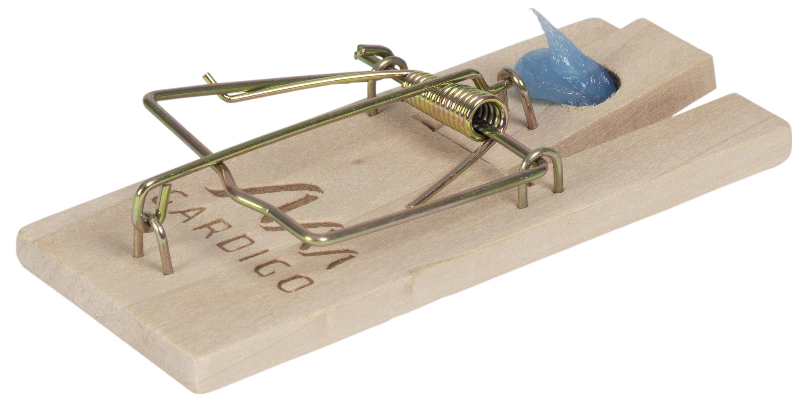 Een houten muizenval met metalen beugel, geplaatst op een houten oppervlak. Een blauwe lokaaspasta is aangebracht aan het einde van de val.