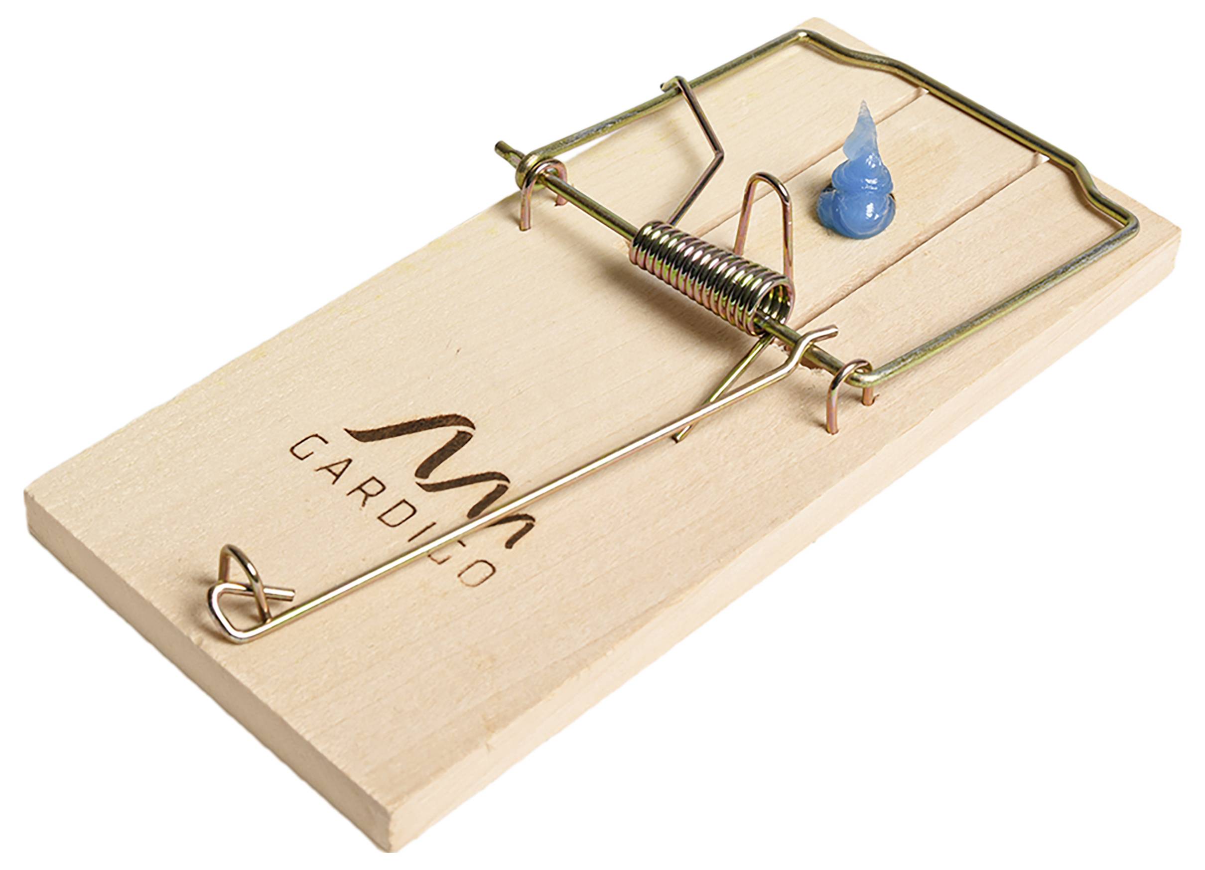 Een houten muizenval met metalen veer, geladen met een klein blauw aas op de rand.