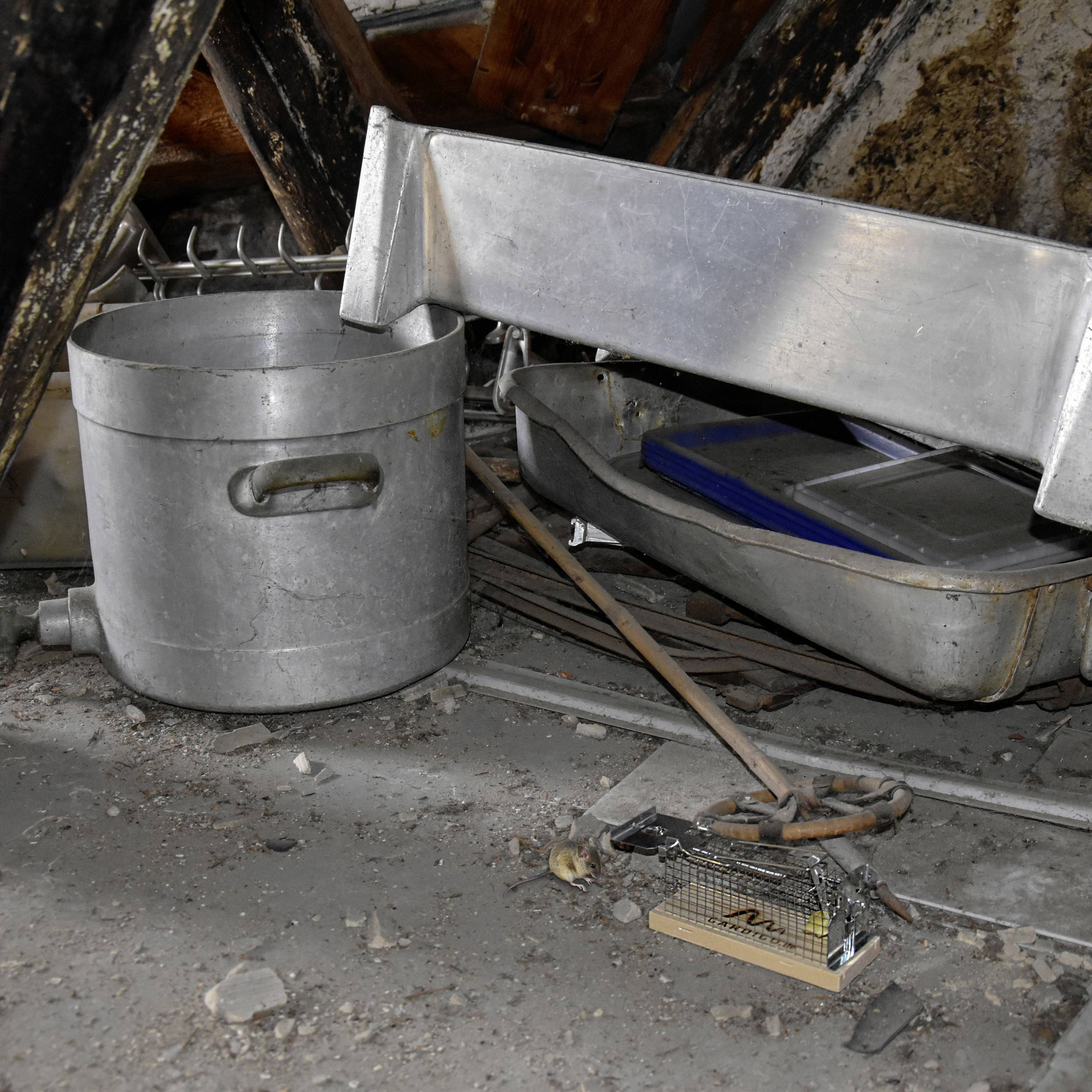 Een verroeste metalen deksel, naast een metalen bak en een bezem in een stoffige ruimte. Een oude, ongebruikte muizeval ligt op de grond.