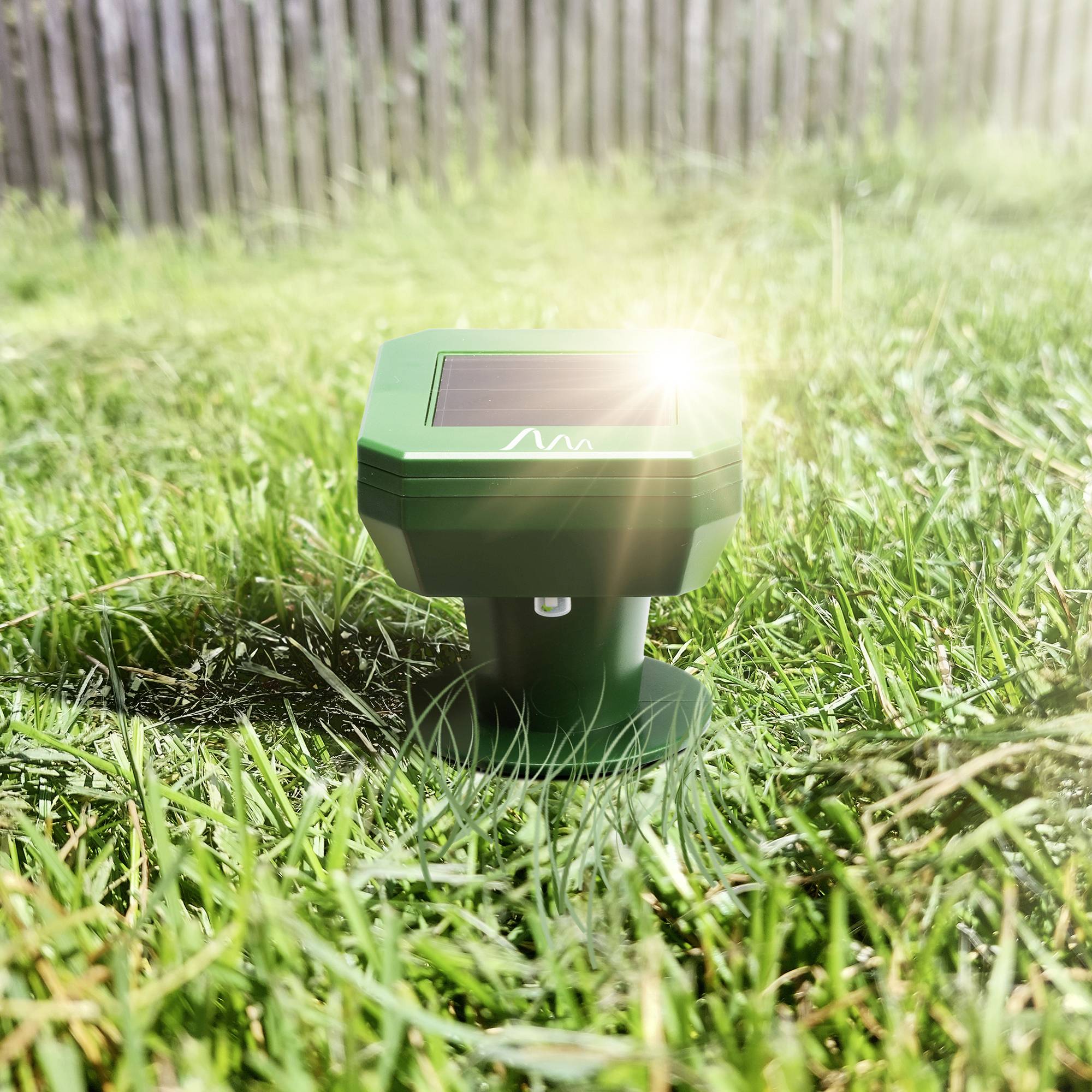 Een zonne-energiegedreven mollenverjager staat op een zonnige grasplek. Op de achtergrond is een houten hek zichtbaar.