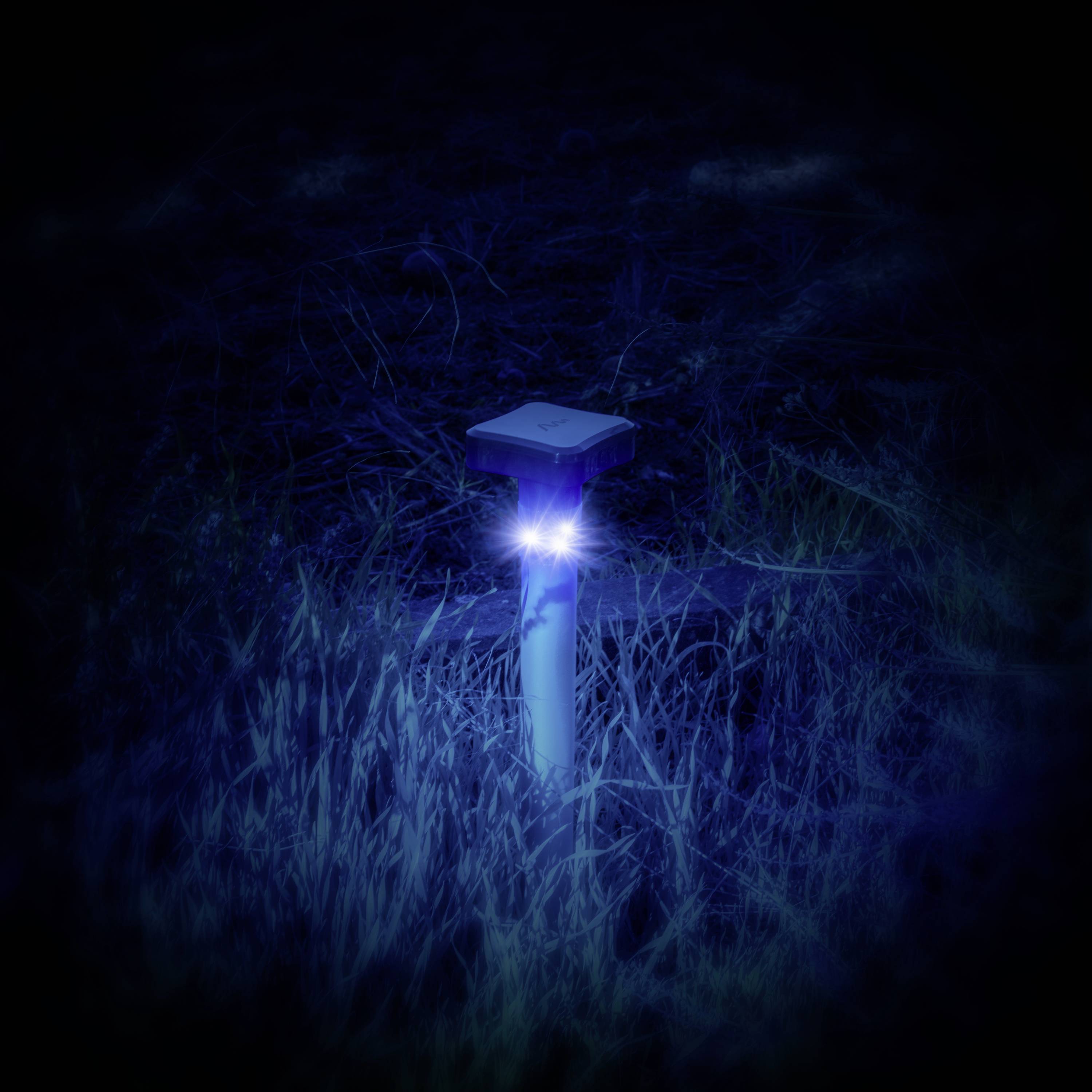 Een blauw oplichtende paal steekt uit het donkere gras omhoog en verlicht de omgeving zwak in het donker.