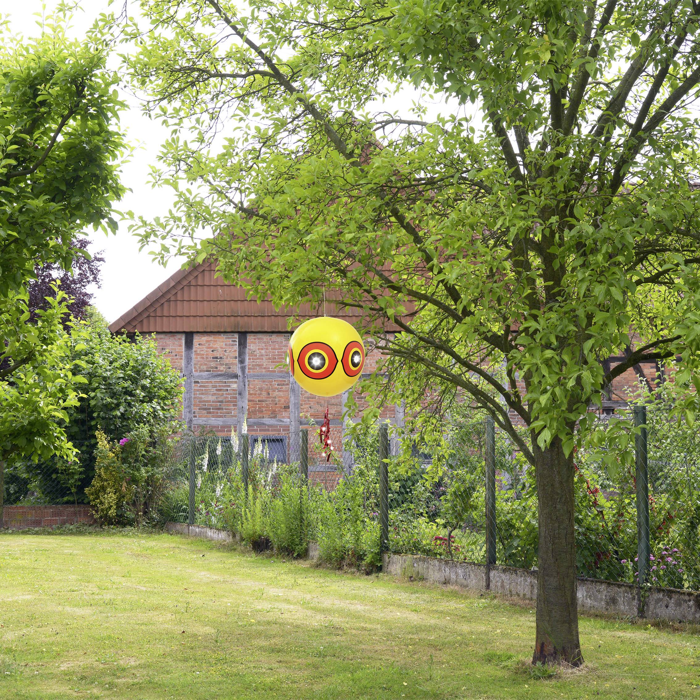 Gele ballon met een oogmotief hangt in de tuin aan een boom, omgeven door groen gebladerte en een bakstenen huis op de achtergrond.
