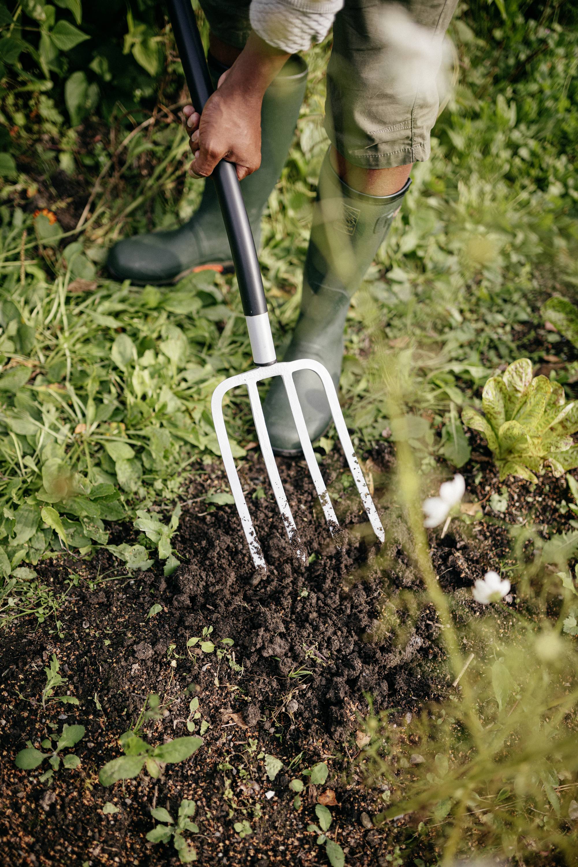 Een persoon graaft met een tuinvork aarde in een tuin om. Omringende groene planten en rubberen laarzen zijn zichtbaar.