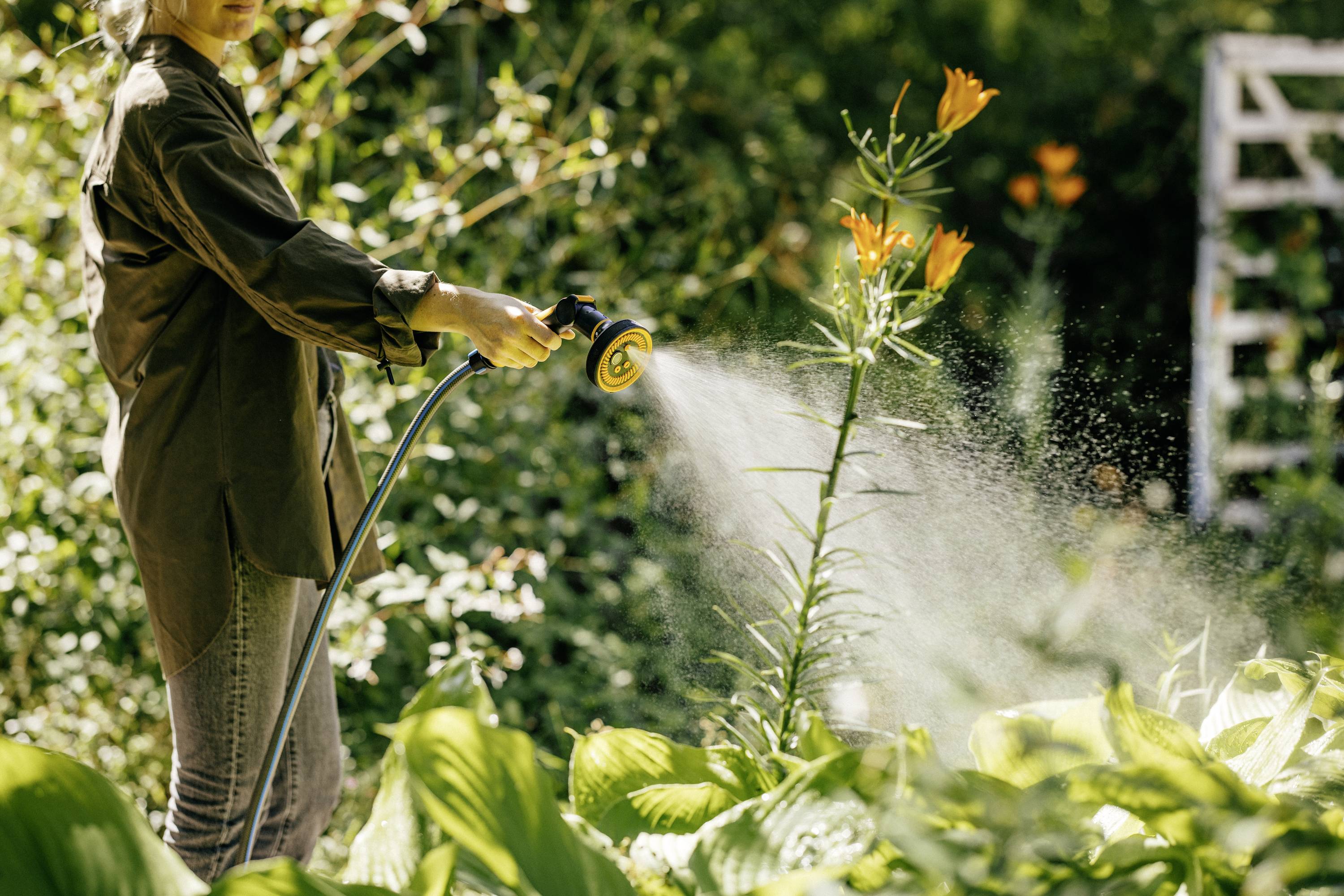 Een persoon geeft planten water met een tuinslang in een zonnige tuin. Op de voorgrond bloeit een lelie in volle pracht.