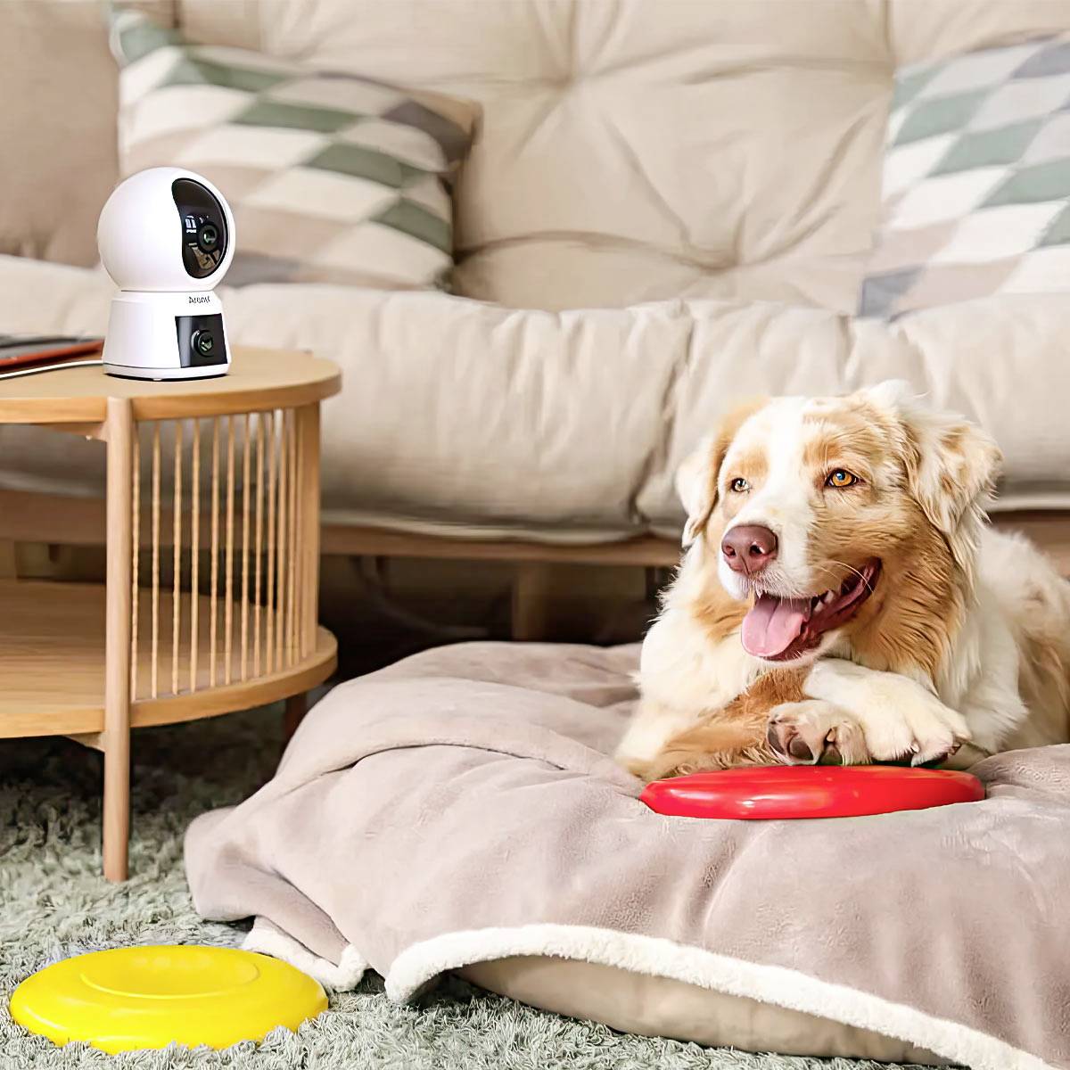 Een hond ligt op een deken met een rode frisbee in de woonkamer. Een camera staat opgesteld op een tafel in de buurt.