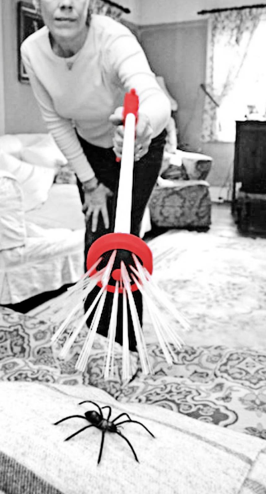 Swissinno Spinnenfänger Spinnenverschrikker 1 stuk(s)-2