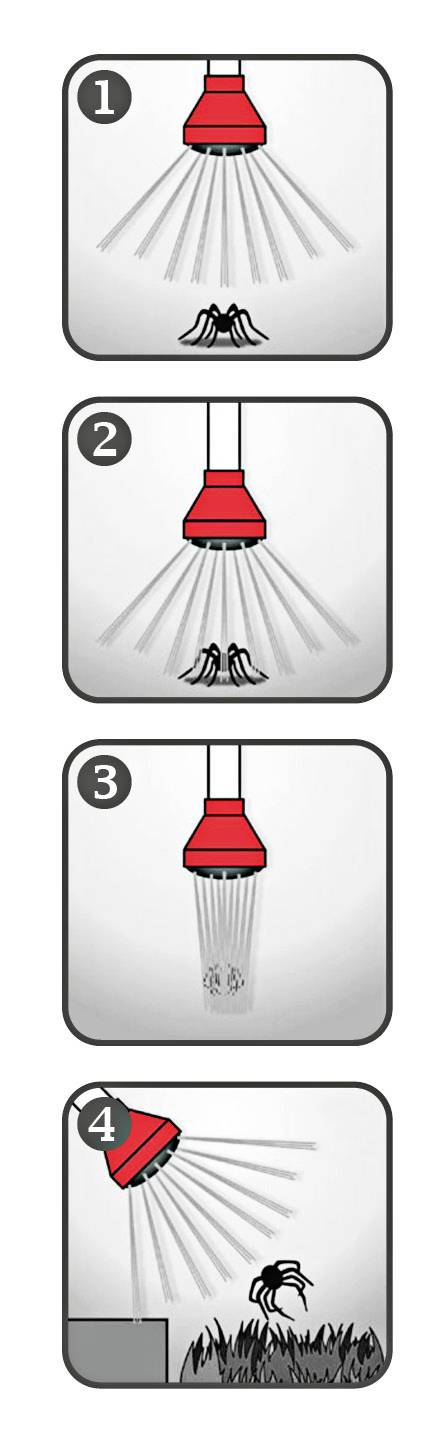 Swissinno Spinnenfänger Spinnenverschrikker 1 stuk(s)-4