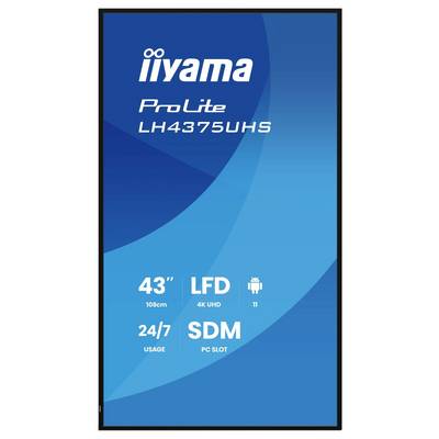Het beeld toont een blauwe digitale displayweergave met tekst: 'iiyama ProLite LH4375UHS, 43", 108cm, LFD, 4K UHD, 24/7, SDM, PC Slot, T1'.