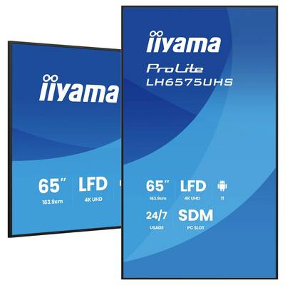 Twee displays met 'iiyama ProLite'. Details: 65" LFD, 4K UHD, Android 11, 24/7 gebruik, SDM-sleuf.