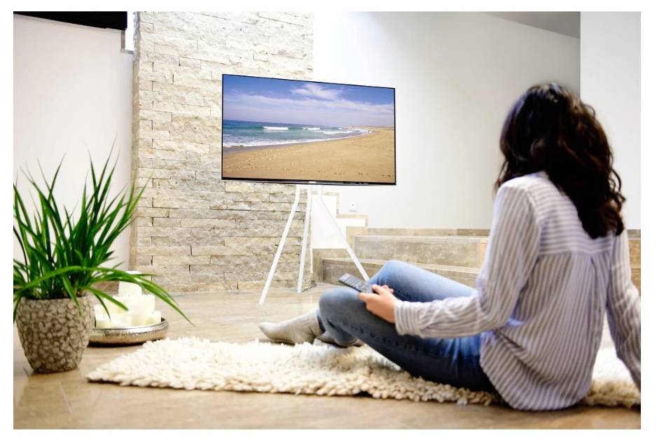 Hama TV-Ständer, Staffelei freistehend, höhenverstellbar, 191 cm (75") bis 40 kg TV-standaard 190,5 cm (75")-6
