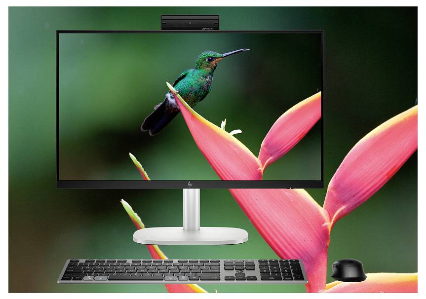 Een computermonitor waarop een levendig beeld te zien is van een groene kolibrie die neerstrijkt op een kleurrijke bloem, met een toetsenbord en muis ervoor.