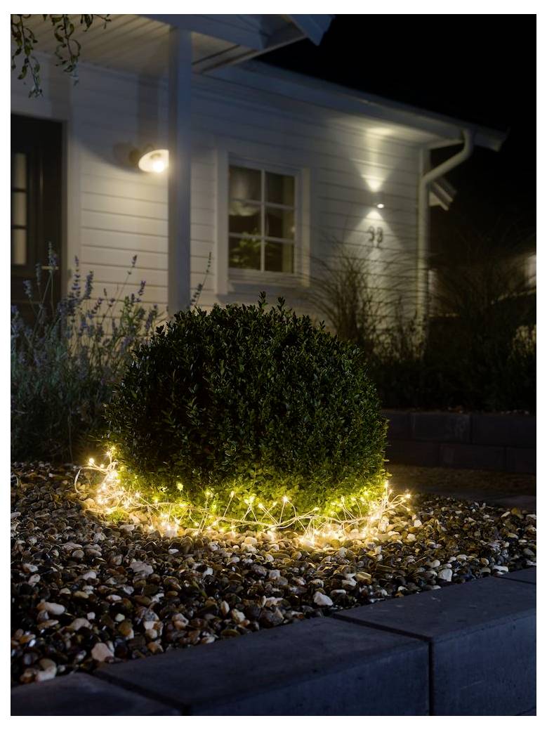 Een kleine struik in een bloemperk is omwikkeld met fonkelende snoerverlichting, waardoor het gebied wordt verlicht. Een huis met verlichte ramen bevindt zich op de achtergrond.