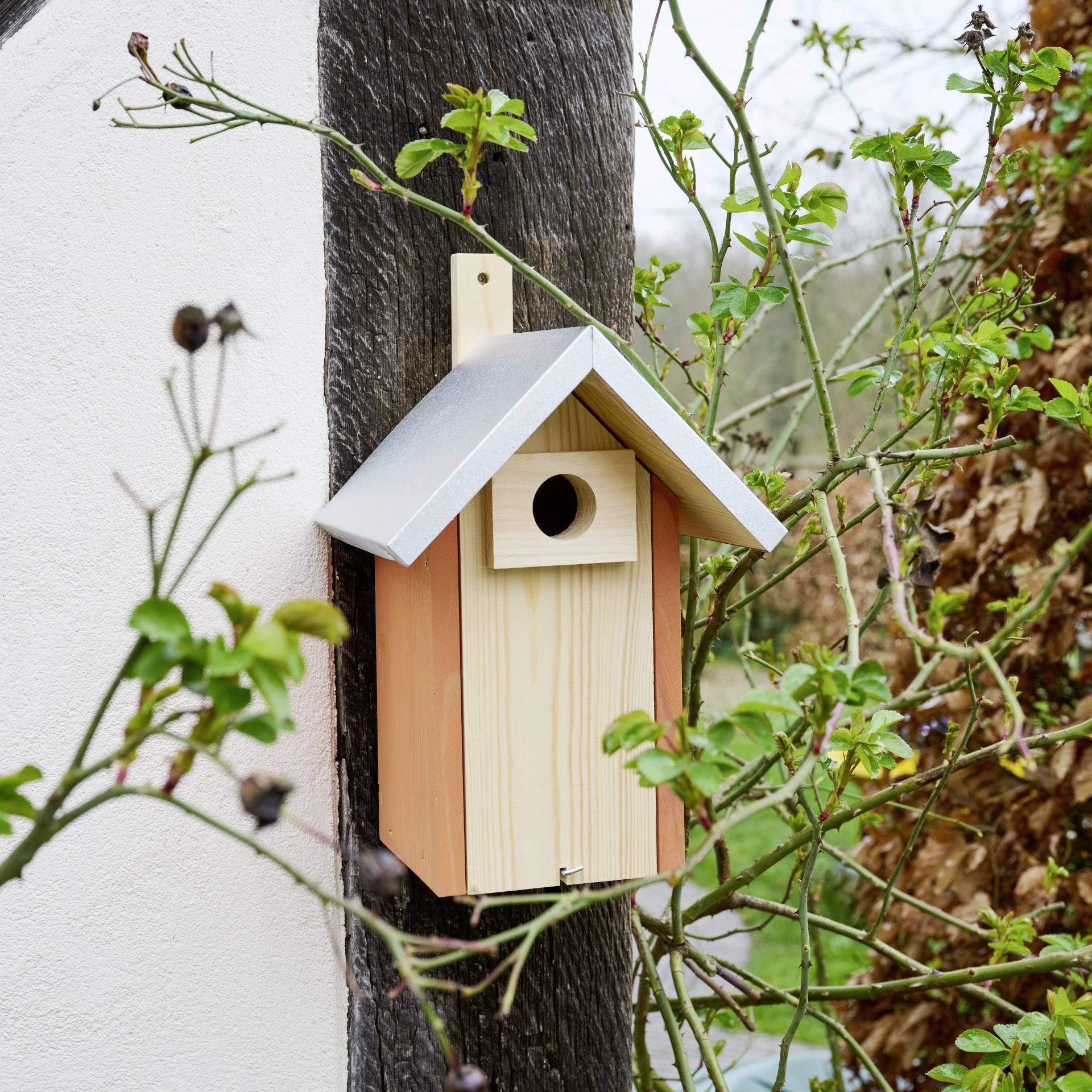 Een houten vogelhuisje met een metalen dak is bevestigd aan een boom, omringd door groen gebladerte, in een tuinomgeving.