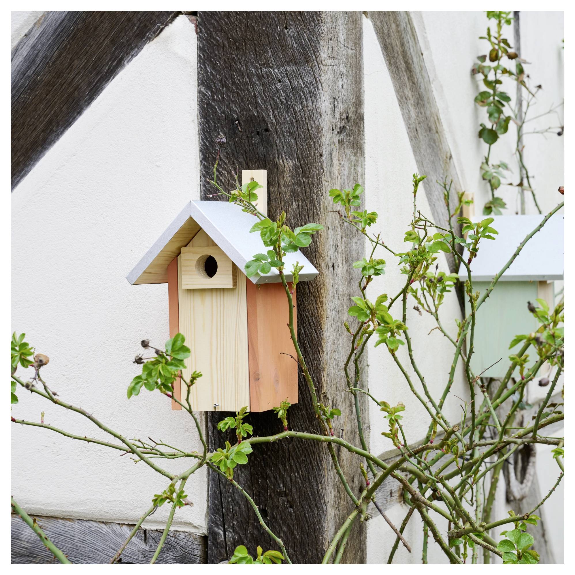Een houten vogelhuisje gemonteerd aan een rustieke muur, omringd door groen gebladerte. Een ander vogelhuisje is gedeeltelijk zichtbaar op de achtergrond.