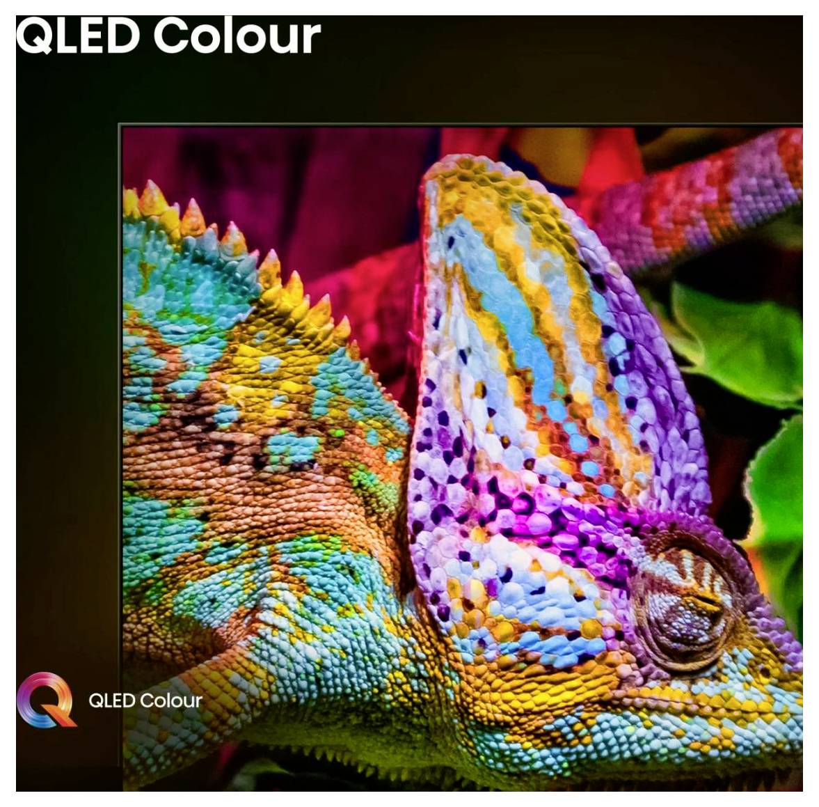 'Een levendige kameleon met gedetailleerde patronen in oranje, blauw en groen, die de levendige QLED-weergavetechnologie toont.'
