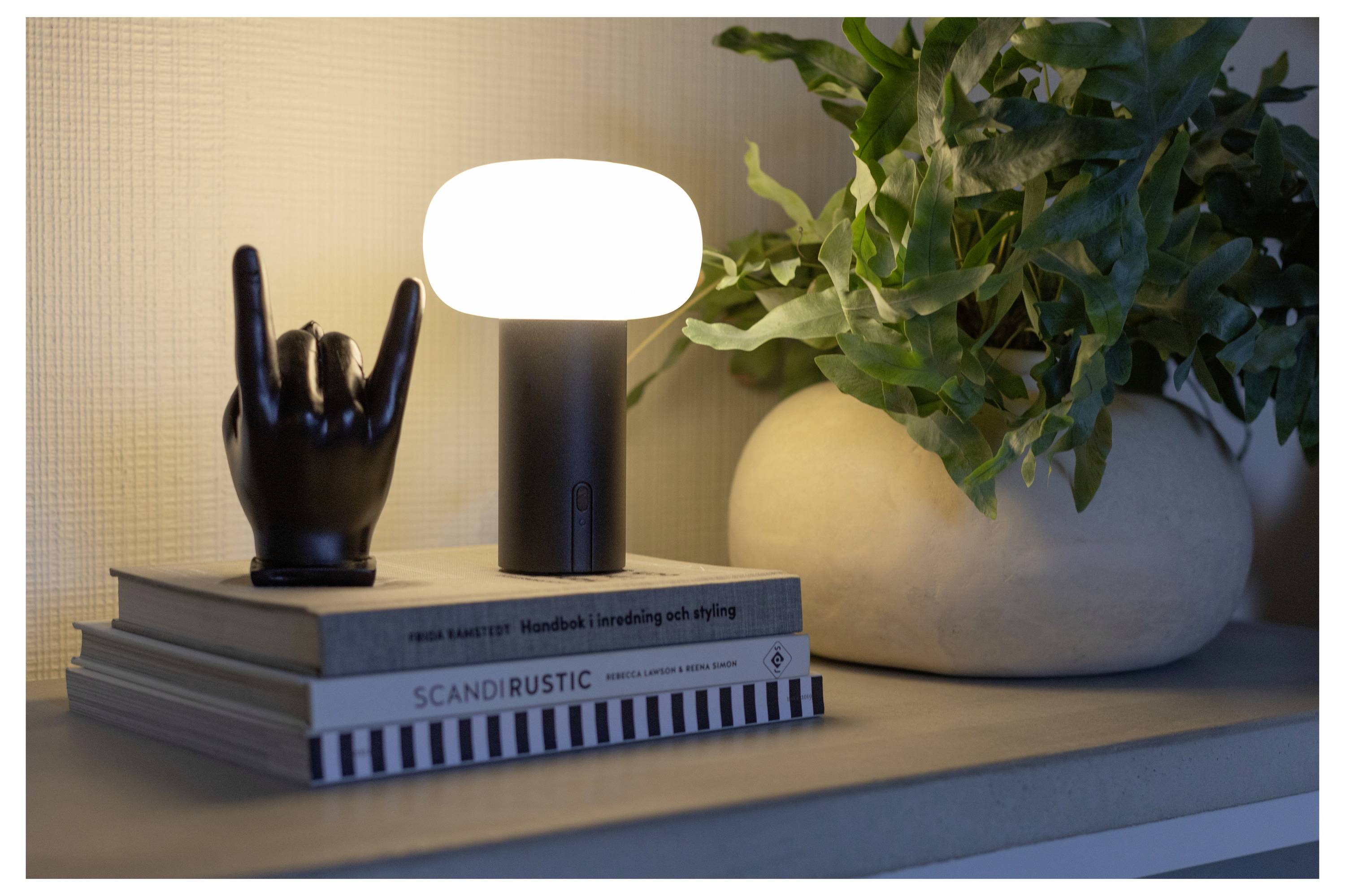Een lamp werpt zacht licht op een stapel designboeken en een handvormig beeld. Een varen in een ronde pot staat naast hen op een plank.