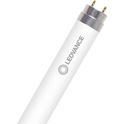 Een close-up van een witte LED-buislamp met twee pennen en het merklogo 'LEDVANCE' erop gedrukt, die het strakke ontwerp belicht.