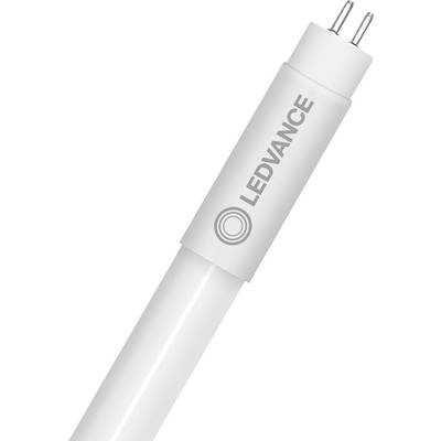 LED-buislamp van het merk 'LEDVANCE', waarbij de pinnen voor aansluiting op de fitting aan één kant zichtbaar zijn.