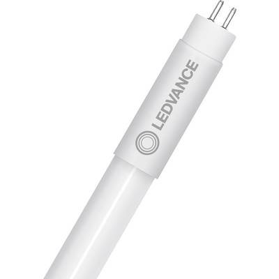 Een LED-buislamp, gemerkt 'LEDVANCE,' met een witte cilindrische behuizing en dubbele pinnen, wat wijst op energiezuinige verlichtingstechnologie.