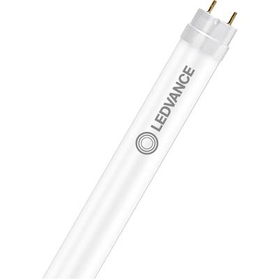 Een wit LED-buislicht met het label 'LEDVANCE', voorzien van twee metalen pinnen voor elektrische aansluiting, diagonaal geplaatst tegen een witte achtergrond.