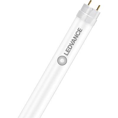 Een witte LED-buislamp met 'Ledvance' en een logo aan de zijkant gedrukt, met twee metalen pinnen aan het uiteinde voor aansluiting.