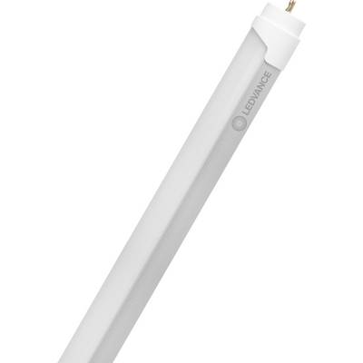 Een LED-buislamp met een witte buitenkant en het merk 'LEDVANCE' gedrukt nabij het ene uiteinde.