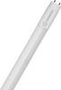 LEDVANCE LED-buis-Buis Energielabel: B (A - G) G13 T8 22.1 W Neutraalwit 1 stuk(s) (Ø x l) 28.00 mm x 1514.00 mm Conventioneel voorschakelapparaat